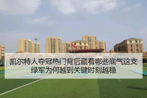 凯尔特人夺冠热门背后藏着哪些底气这支绿军为何越到关键时刻越稳